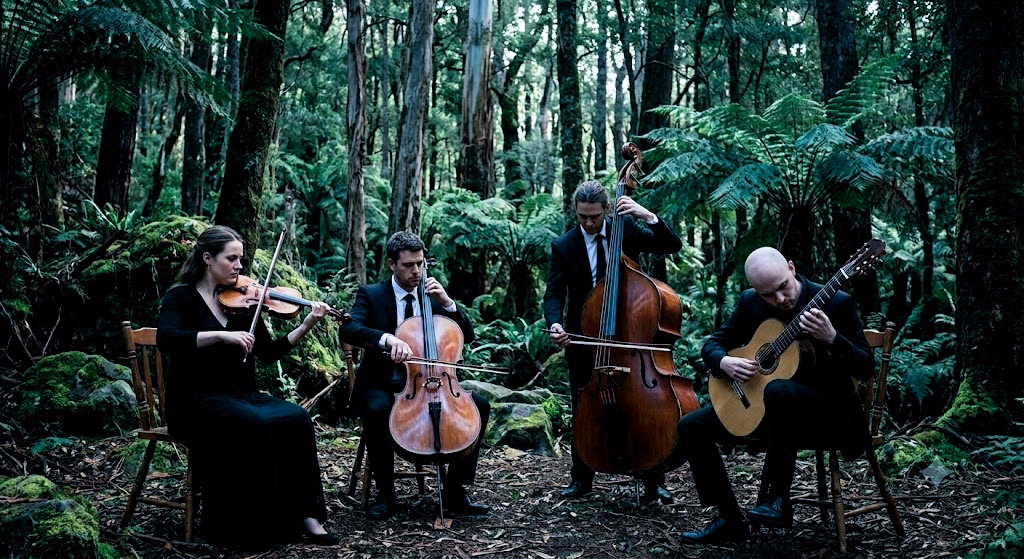 Classical musicians performing in a Tasmanian forest